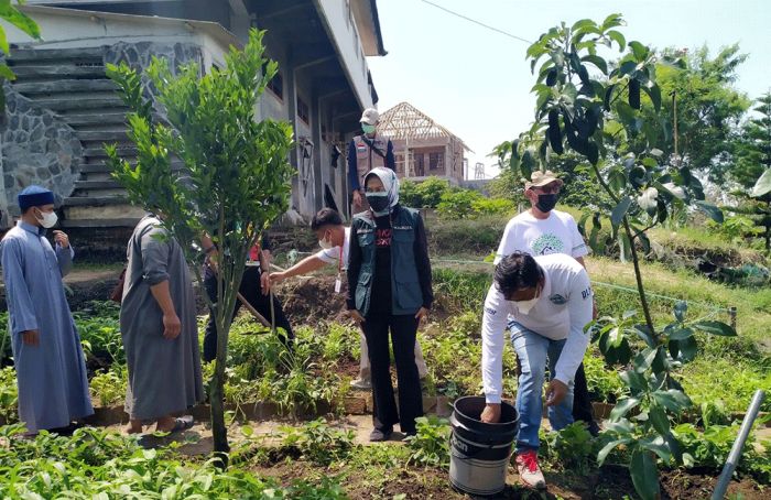 Gandeng Pemerintah Kota Batu, ATF Gelar Penanaman Pohon di Pondok Pesantren Tarbiyatul Quran Gandeng Pemerintah Kota Batu, ATF Gelar Penanaman Pohon di Pondok Pesantren Tarbiyatul Quran