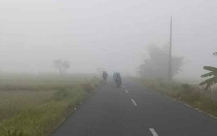 Cuaca Jember Hari ini Senin, 6 Januari 2025: Diperkirakan Udara Kabur dengan Suhu 23-29 °C Cuaca Jember Hari ini Senin, 6 Januari 2025: Diperkirakan Udara Kabur dengan Suhu 23-29 °C