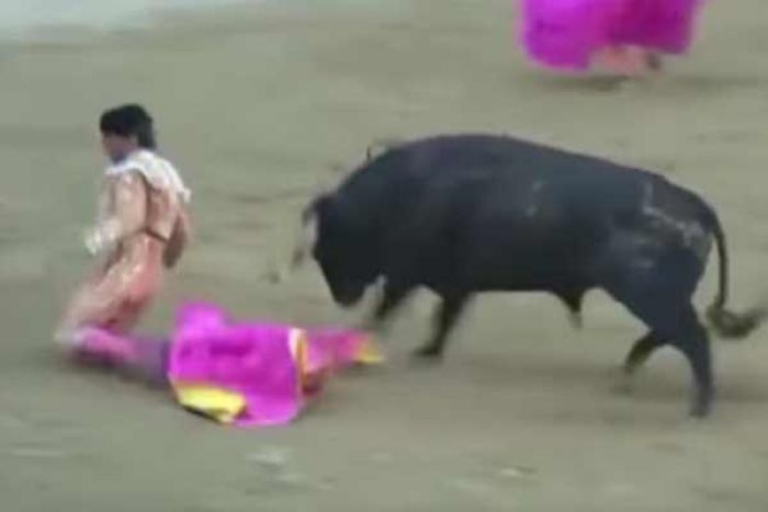 Kesrimpet Jubahnya Sendiri, Matador Ini Tewas Ditanduk Banteng saat Beraksi Kesrimpet Jubahnya Sendiri, Matador Ini Tewas Ditanduk Banteng saat Beraksi