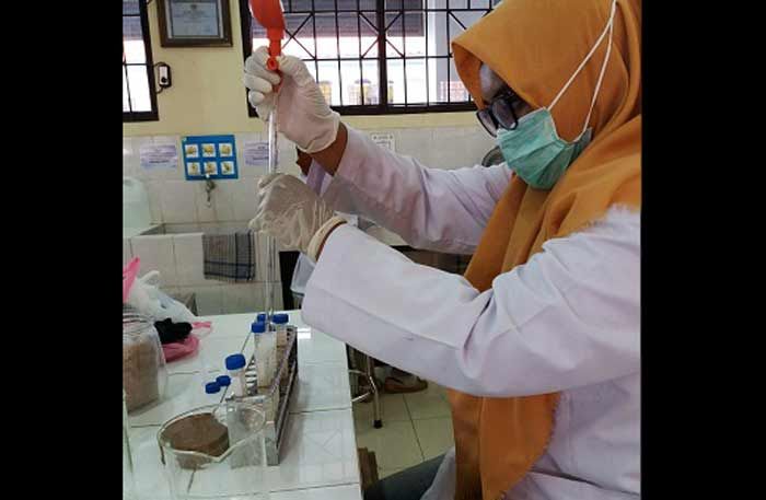 Albumin Ikan Gabus dan Astaxantin untuk Atasi Luka Diabetes Tipe II