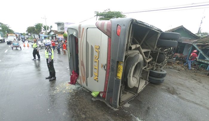 Hindari Pemotor, Bus Mira Terguling di Ngemplak Jombang