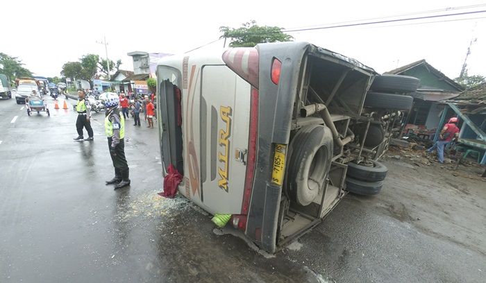 Hindari Pemotor, Bus Mira Terguling di Ngemplak Jombang Hindari Pemotor, Bus Mira Terguling di Ngemplak Jombang