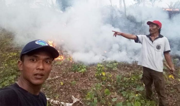 Hutan Lindung di TNMB Jember Terbakar, Diduga Ulah Warga Hutan Lindung di TNMB Jember Terbakar, Diduga Ulah Warga