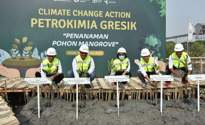 Wujudkan Net-Zero Emissions, Petrokimia Gresik Tanam Puluhan Ribu Mangrove Bersama Warga