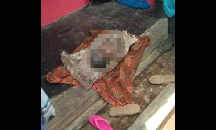 Geger di Kalisat Jember, Mayat Bayi Laki-laki Ditemukan Warga di Parit Sawah Geger di Kalisat Jember, Mayat Bayi Laki-laki Ditemukan Warga di Parit Sawah
