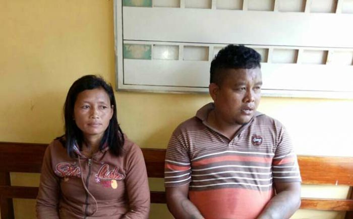 Pasutri Asal Kerek ini Kompak jadi Maling Kambing Pasutri Asal Kerek ini Kompak jadi Maling Kambing