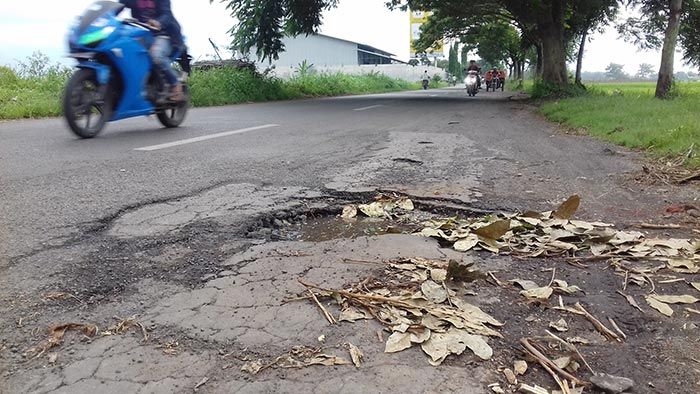 ​Pemkot Probolinggo Anggarkan Rp 2,3 Miliar untuk Perbaikan Jalan Rusak