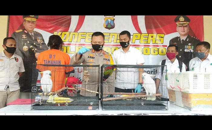 Jual Beli Burung Langka secara Ilegal, Pemuda Asal Madiun Diamankan Polres Ponorogo