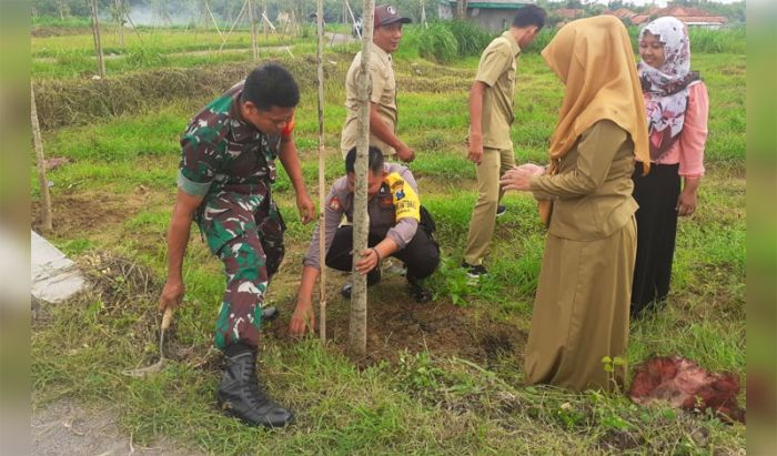 Kades Pagendingan Gotong Royong Wujudkan Desa Wisata Bunga Tabebuya