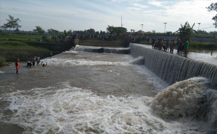 Tukang Gigi yang Tenggelam di Dam Kali Konto Kediri Ditemukan Meninggal Tukang Gigi yang Tenggelam di Dam Kali Konto Kediri Ditemukan Meninggal