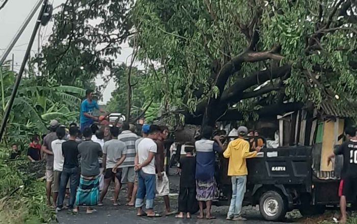 Puting Beliung Terjang Sidayu dan Ujungpangkah Gresik, Pohon, PJU, dan Tiang Listrik Roboh Puting Beliung Terjang Sidayu dan Ujungpangkah Gresik, Pohon, PJU, dan Tiang Listrik Roboh