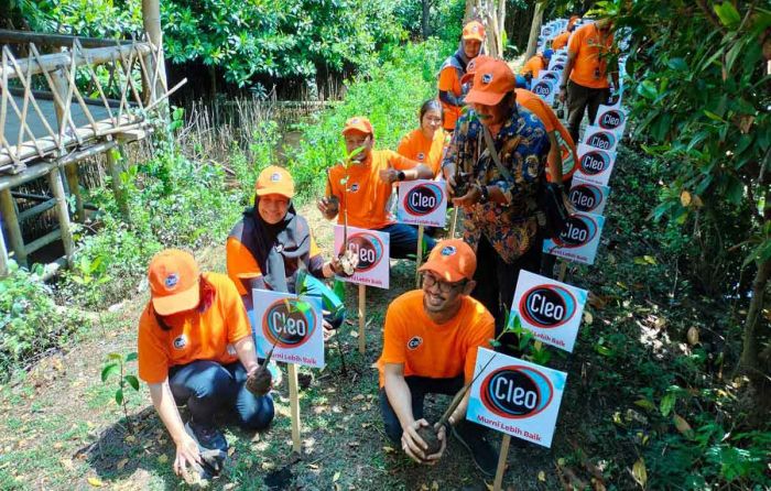 Cleo Tanam 5.000 Bibit Mangrove di Wonorejo Surabaya Cleo Tanam 5.000 Bibit Mangrove di Wonorejo Surabaya