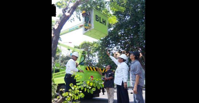 DPRD Gresik Minta Perusahaan Tidak Gelantungkan Kabel di Pohon 