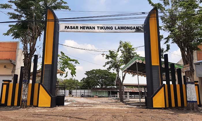 Besok, Pasar Hewan Tikung Lamongan Dibuka Kembali Besok, Pasar Hewan Tikung Lamongan Dibuka Kembali