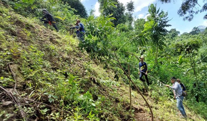 Ratusan Relawan Gotong Royong Tanam Pohon di Lereng Gunung Kelud