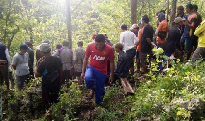 Berburu Belalang, PNS di Pacitan Jatuh ke Jurang Gunung Macan Berburu Belalang, PNS di Pacitan Jatuh ke Jurang Gunung Macan