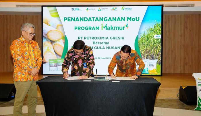 Tingkatkan Produktivitas Tebu, Petrokimia Gresik Perkuat Kerja Sama Program Makmur dengan SGN