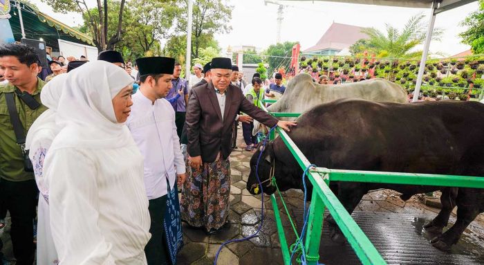 Laksanakan Sholat Idul Adha di Al Akbar, Gubernur Khofifah Serahkan Kurban dari Presiden Prabowo