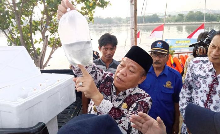 Pemkab Lamongan Bersama BBPBAP Jepara Tebar 200 Ribu Benih Rajungan di Desa Kemantren Pemkab Lamongan Bersama BBPBAP Jepara Tebar 200 Ribu Benih Rajungan di Desa Kemantren