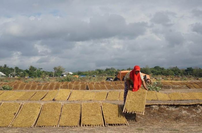 Hasil Panen Petani Tak Terbeli, DPR RI Minta Gubernur Panggil Pemilik Pabrik Rokok se-Jatim