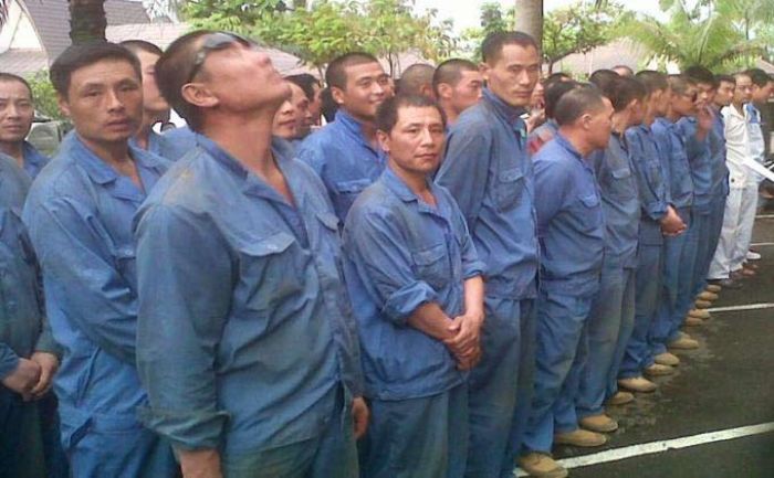 Buruh China Ilegal Serbu Indonesia, Gerindra: Pecat Menaker! Buruh China Ilegal Serbu Indonesia, Gerindra: Pecat Menaker!