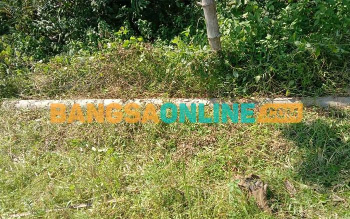 Masyarakat Daleman Sampang Keluhkan Robohnya Tiang Listrik yang Tak Kunjung Diperbaiki PLN Masyarakat Daleman Sampang Keluhkan Robohnya Tiang Listrik yang Tak Kunjung Diperbaiki PLN