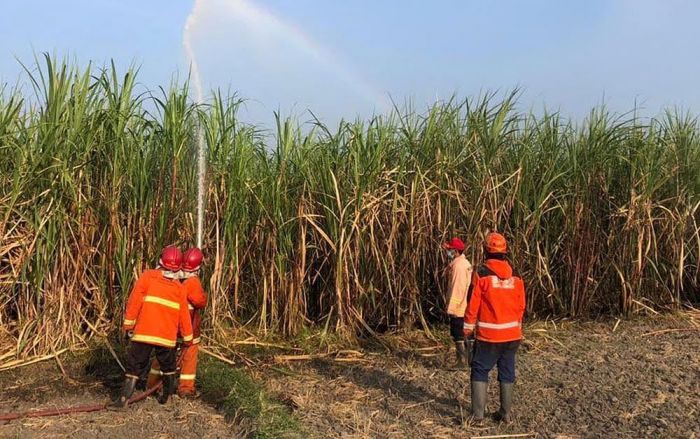 Puncak Musim Kemarau, Pemkot Kediri Antisipasi Kebakaran Lahan Puncak Musim Kemarau, Pemkot Kediri Antisipasi Kebakaran Lahan