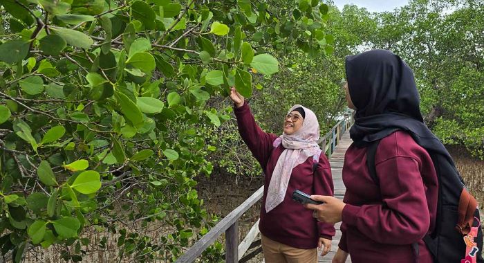 Labuhan Kuning Bangkalan Bangkit Lewat Wisata Mangrove dan Energi Konservasi PHE WMO