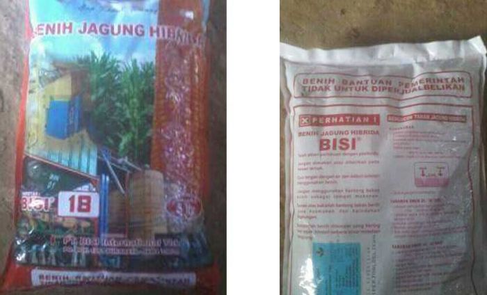 Di Tuban, Bibit Jagung Gratis Bantuan Pemerintah Dijual-belikan Di Tuban, Bibit Jagung Gratis Bantuan Pemerintah Dijual-belikan