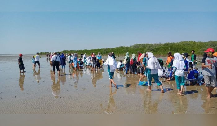 Peringati Hari Jadi Pemprov Jatim ke-74, Ratusan Relawan Tanam Mangrove di Pantai Galis Pamekasan