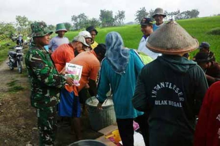 Tanggulangi Serangan Hama Wereng, Petani Kedunggalar Gelar Semprotan Massal Pestisida Tanggulangi Serangan Hama Wereng, Petani Kedunggalar Gelar Semprotan Massal Pestisida