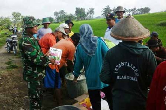 Tanggulangi Serangan Hama Wereng, Petani Kedunggalar Gelar Semprotan Massal Pestisida