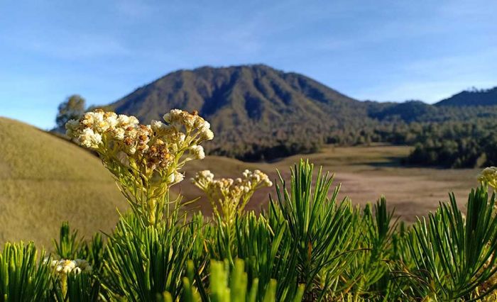 Berikut 5 Gunung dengan Pemandangan Terbaik di Jawa Timur, Referensi untuk Libur Lebaran