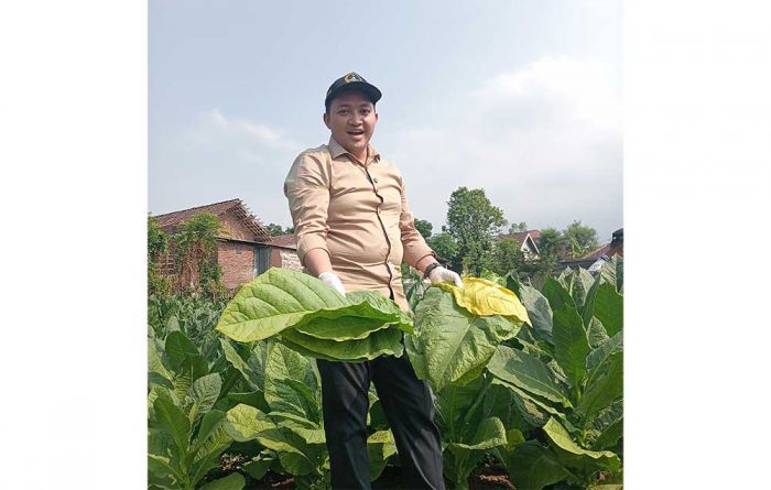 Diwaduli Petani Tembakau Soal Kurangnya Air, Rusdi Sutejo Siap Fasilitasi Diwaduli Petani Tembakau Soal Kurangnya Air, Rusdi Sutejo Siap Fasilitasi