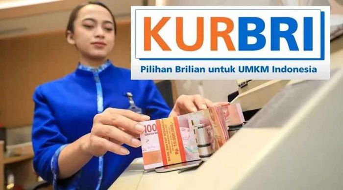 Simak Syarat hingga Cara Pinjaman KUR BRI 2025 Simak Syarat hingga Cara Pinjaman KUR BRI 2025