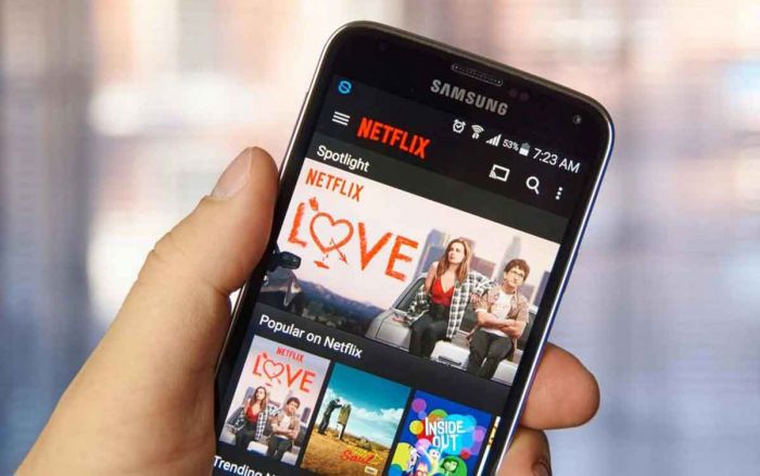 Netflix Bebankan Biaya Tambahan untuk Akun yang Bagikan Password pada 2023