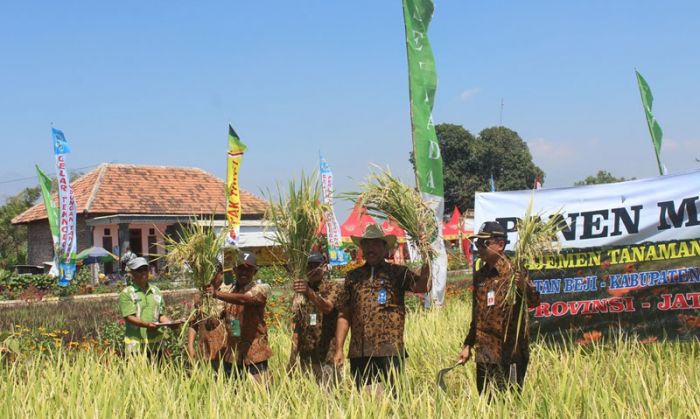 Kuota Turun, Petani Kesulitan Pupuk Bersubsidi