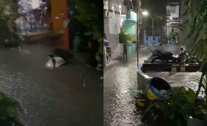 Diguyur Hujan Deras, Telogodendo Gresik Meluap Diguyur Hujan Deras, Telogodendo Gresik Meluap