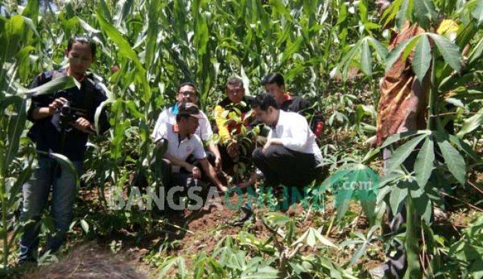 Emil Dardak Tanam 140 Ribu Bibit Pohon di Desa Nglebo Emil Dardak Tanam 140 Ribu Bibit Pohon di Desa Nglebo