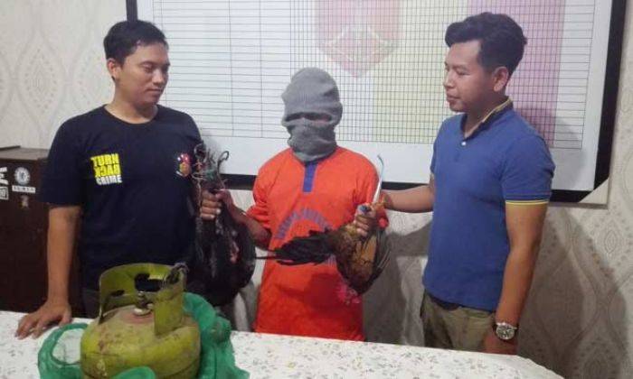 Curi Ayam, Warga Kalipang Benjeng Ditangkap Curi Ayam, Warga Kalipang Benjeng Ditangkap