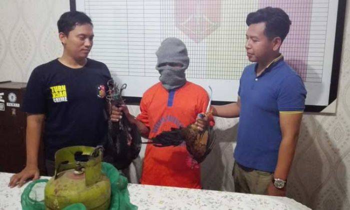 Curi Ayam, Warga Kalipang Benjeng Ditangkap