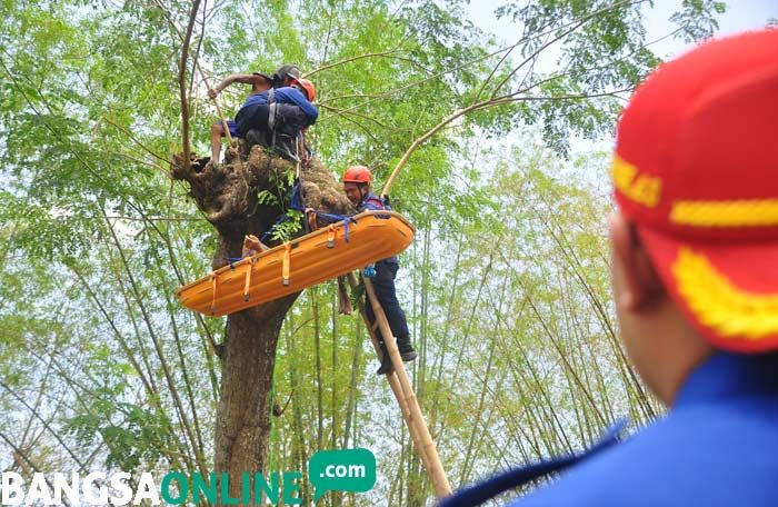 Heroik, Tim Damkar Bojonegoro Selamatkan Korban Tersangkut di atas Pohon