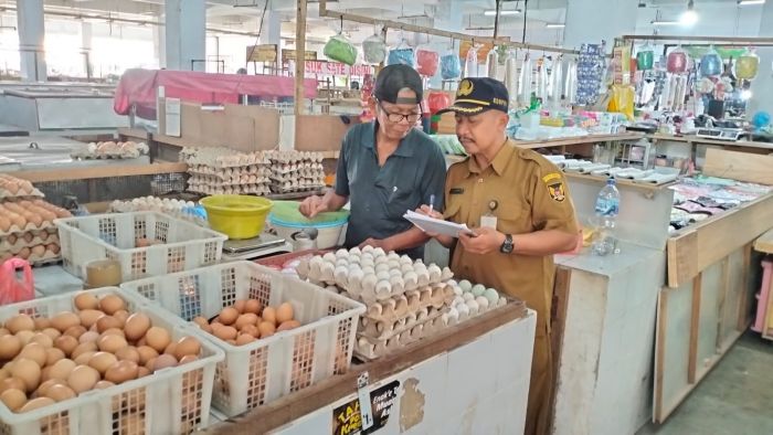 DKPP Lakukan Monitoring Rutin Bahan Pangan, Harga Aneka Cabai di Kota Kediri Terpantau Turun DKPP Lakukan Monitoring Rutin Bahan Pangan, Harga Aneka Cabai di Kota Kediri Terpantau Turun