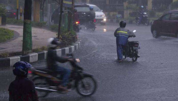 Musim Hujan, BPBD Imbau Warga Waspada Pohon Tumbang dan Petir Musim Hujan, BPBD Imbau Warga Waspada Pohon Tumbang dan Petir