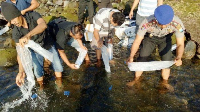 Satpolair Sita 3 Box Styrofoam,  Berisi 5000 Ekor Benur Lobster