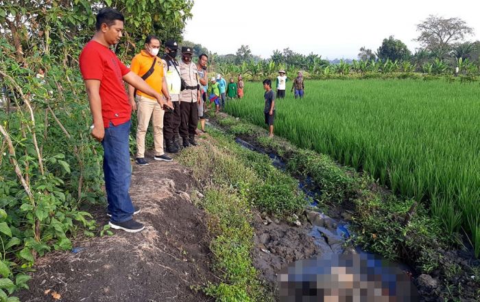 Mayat Mr X Sumbat Saluran Irigasi Sawah Gegerkan Warga Jombang