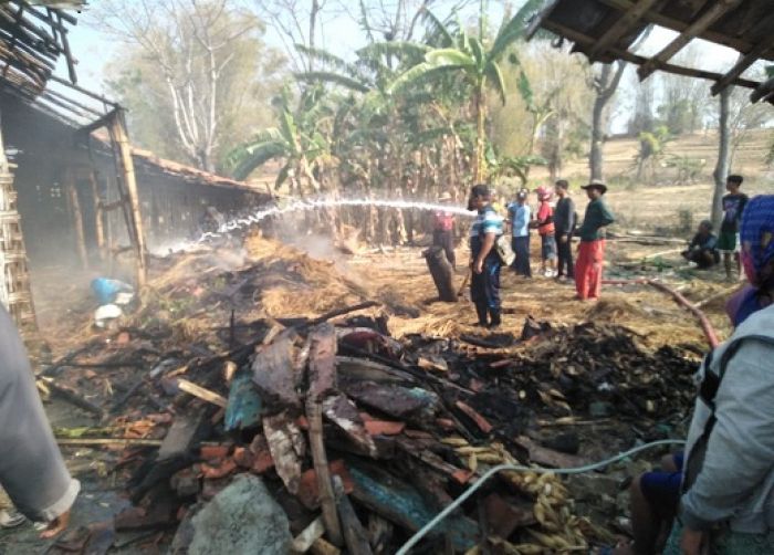 Bakar Kotoran Sapi, Kandang Ikut Hangus Bakar Kotoran Sapi, Kandang Ikut Hangus