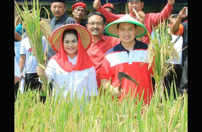 Petani Nganjuk Doakan Suara Gus Ipul-Puti Banyak Seperti Padi Petani Nganjuk Doakan Suara Gus Ipul-Puti Banyak Seperti Padi