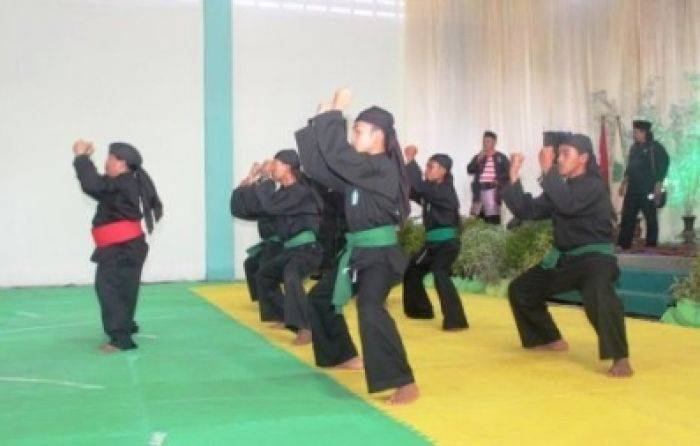 Pendekar Pagar Nusa Siap Amankan Muktamar NU Pendekar Pagar Nusa Siap Amankan Muktamar NU
