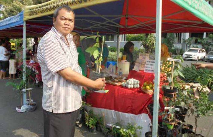 Pameran Produk Unggulan Kota Surabaya, Anggrek dan Tanaman Hidroponik jadi Andalan Pameran Produk Unggulan Kota Surabaya, Anggrek dan Tanaman Hidroponik jadi Andalan